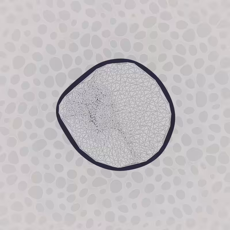 Protista #7