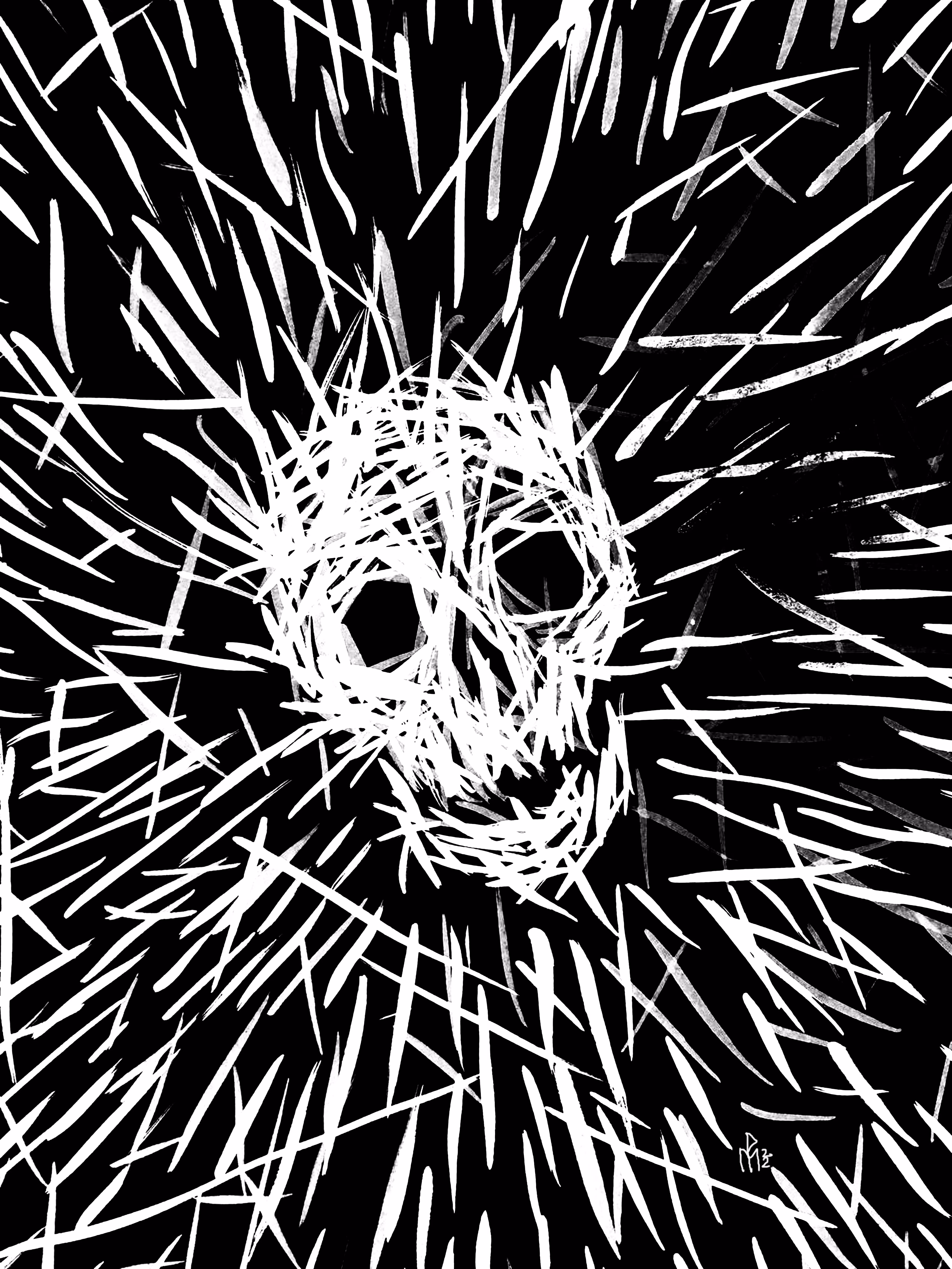 Skull Nature