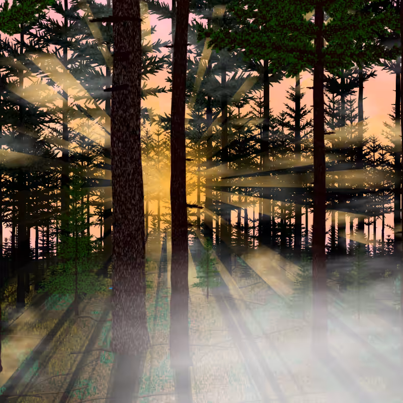 Forest Sunrise #9