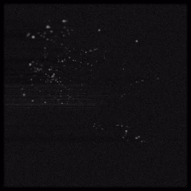Rays & Dust #71