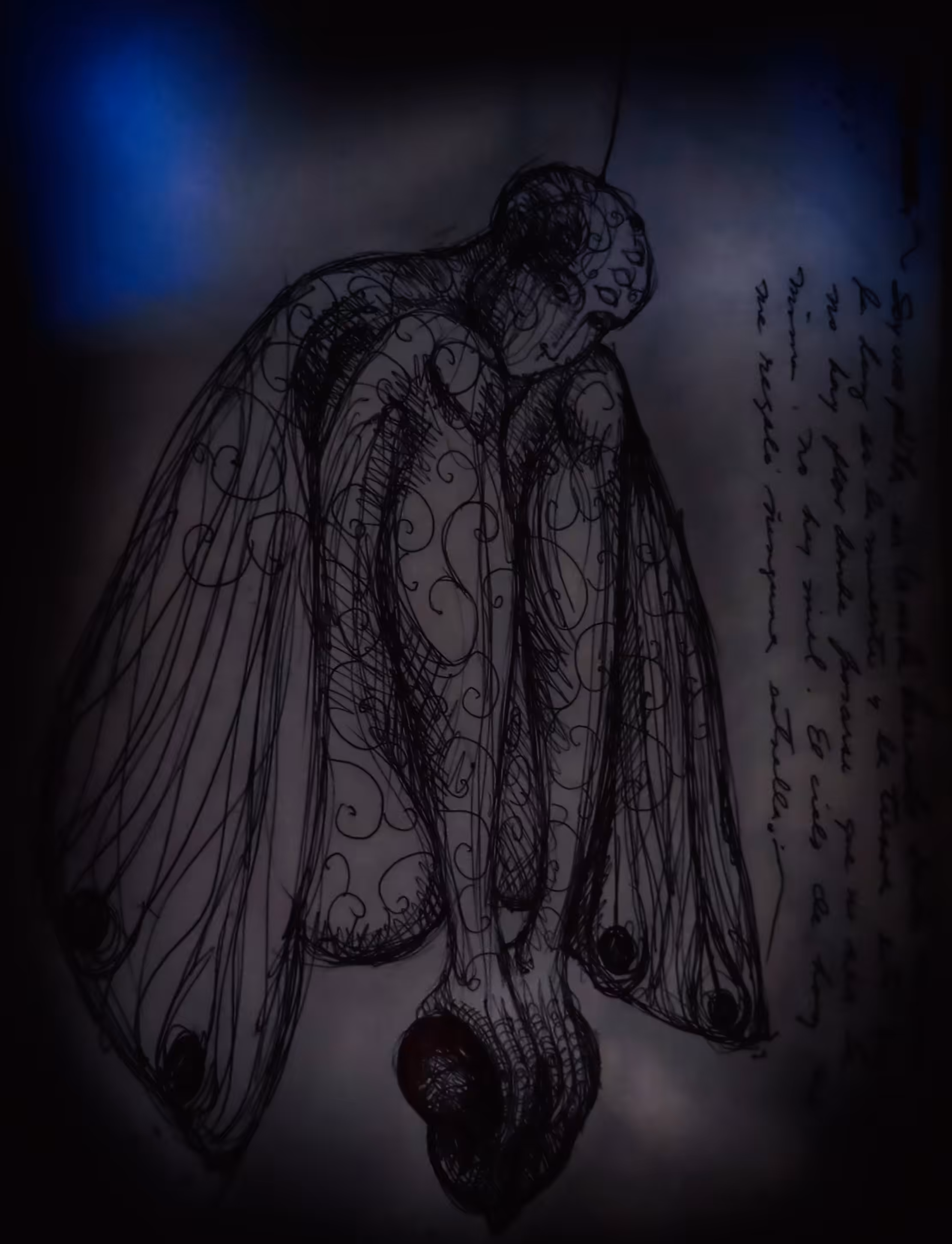 Moth
