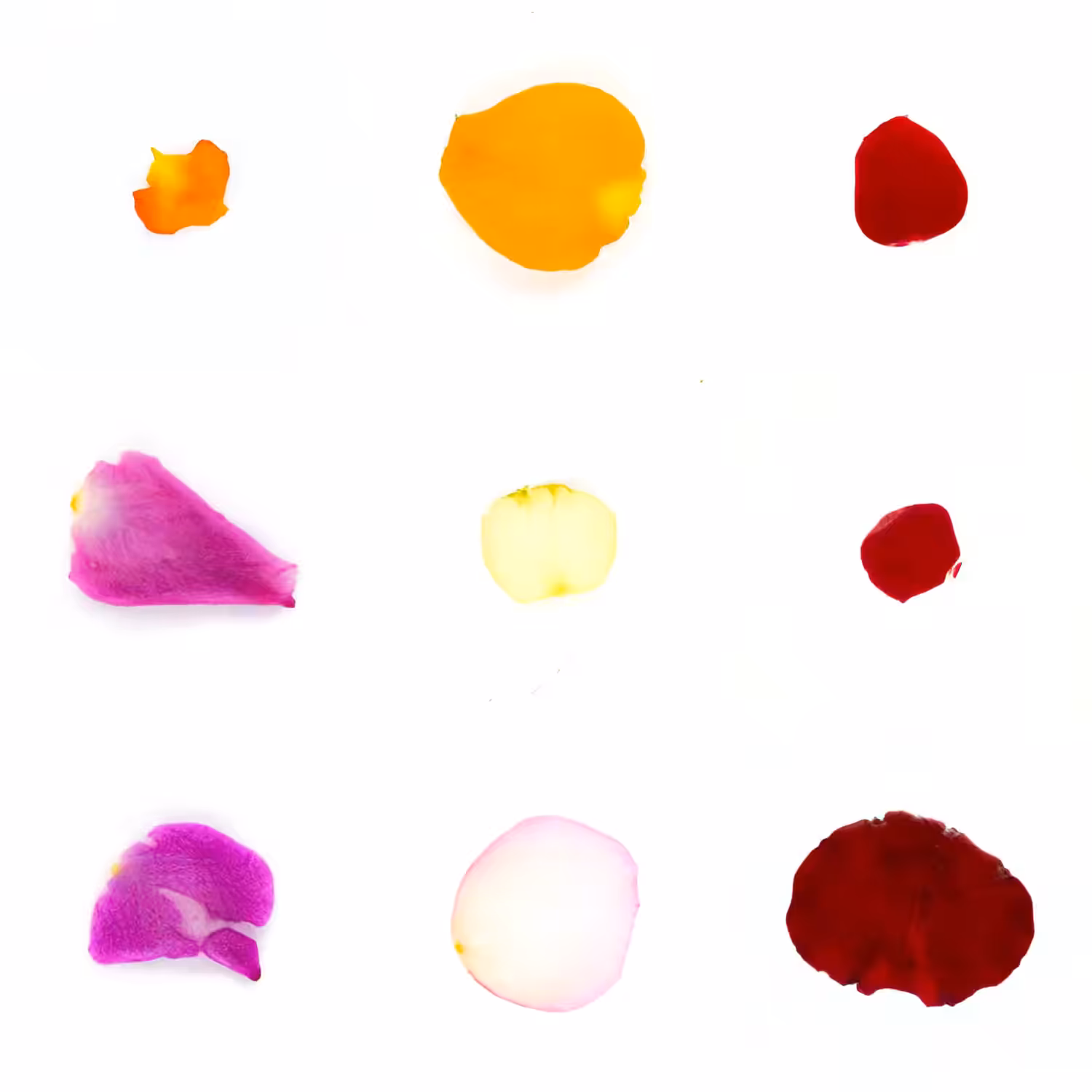 Infinite Petals 3x3#21264