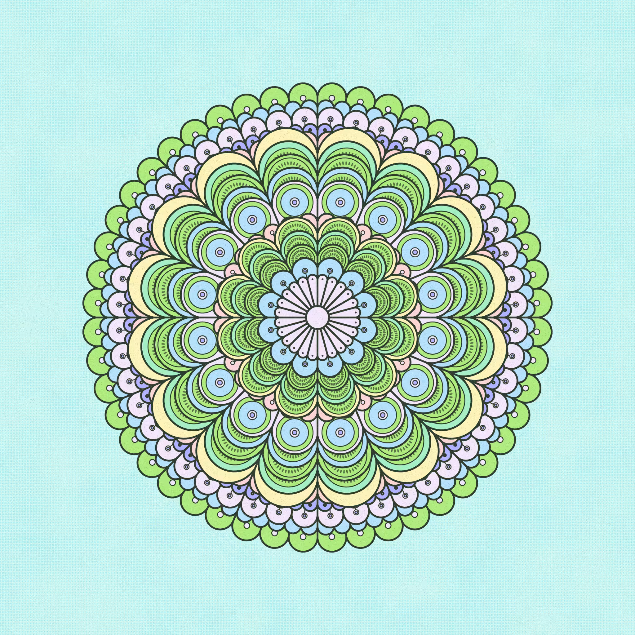 metamorph. #48