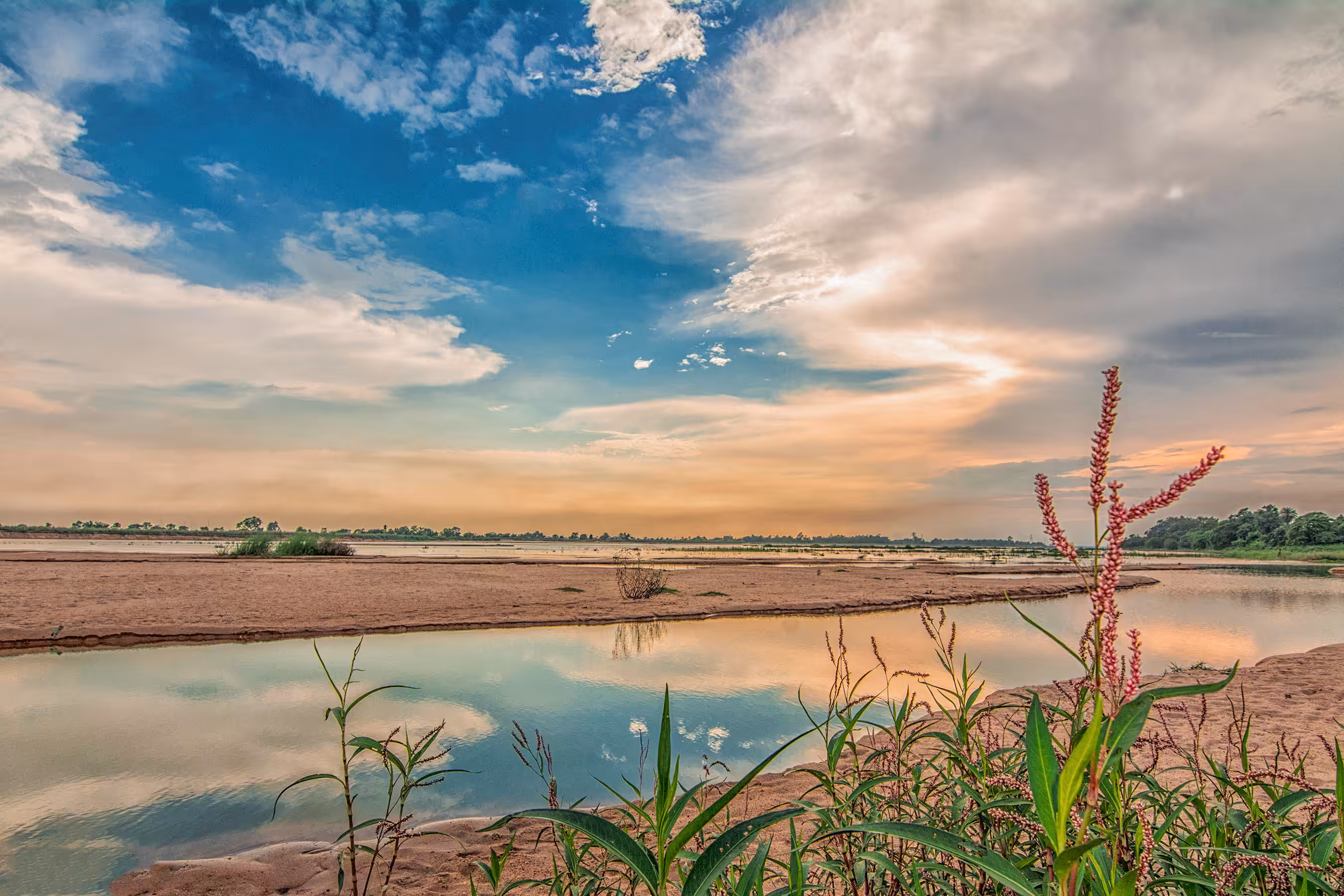 My River Damodar 