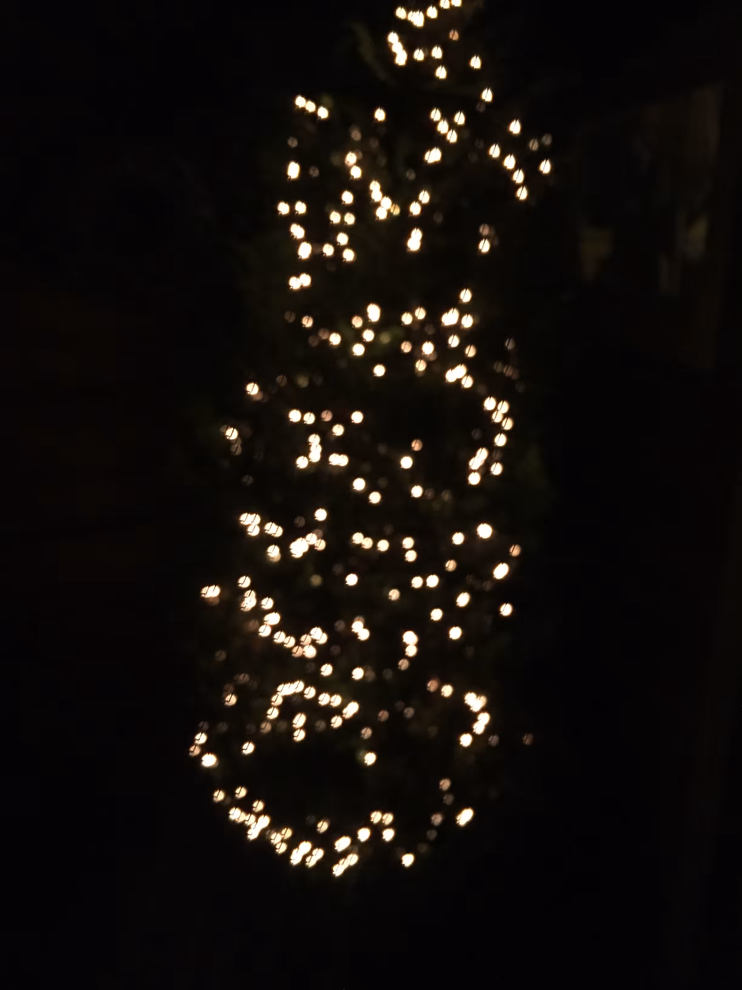 Tree Christmas