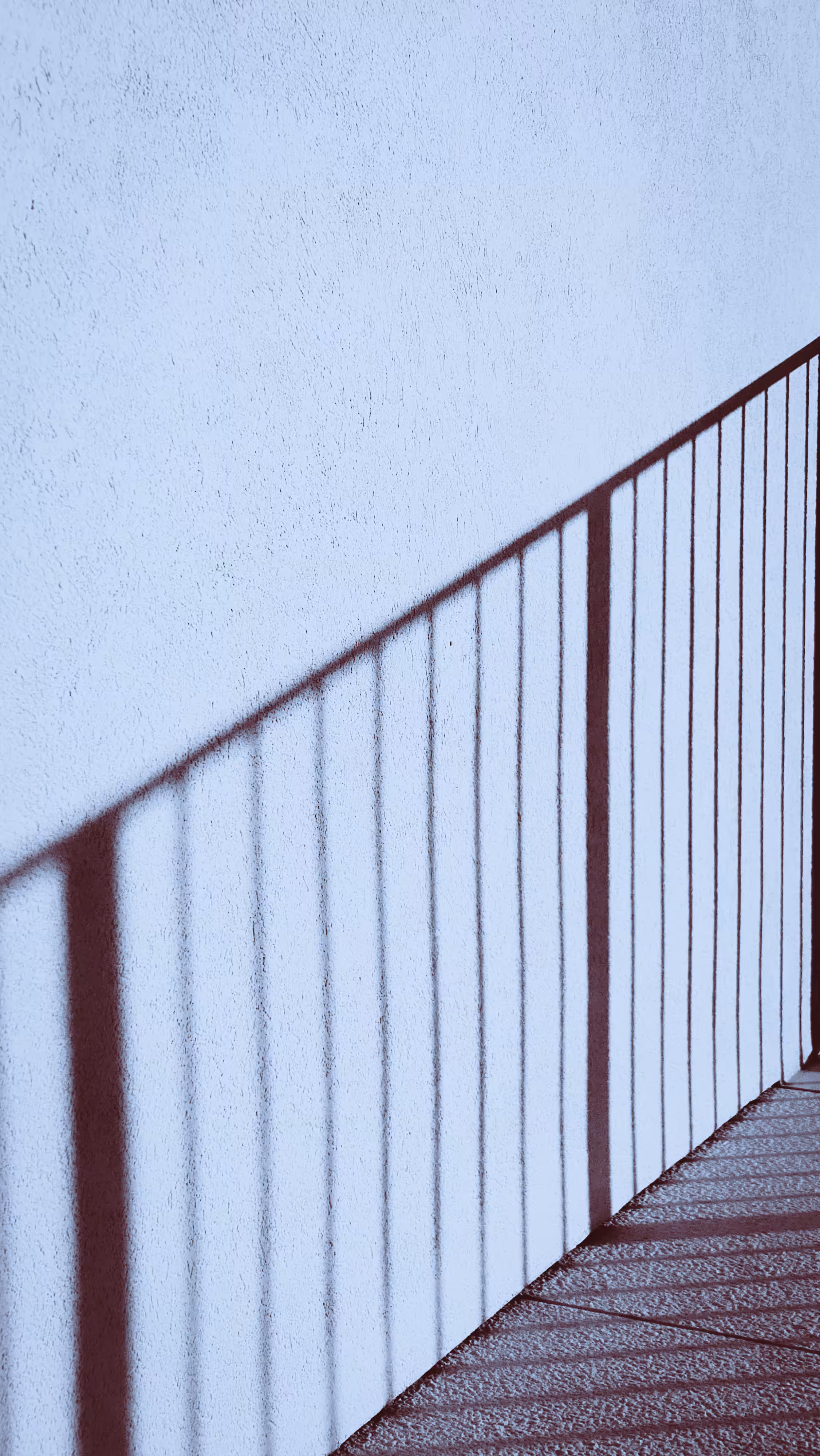 Lines