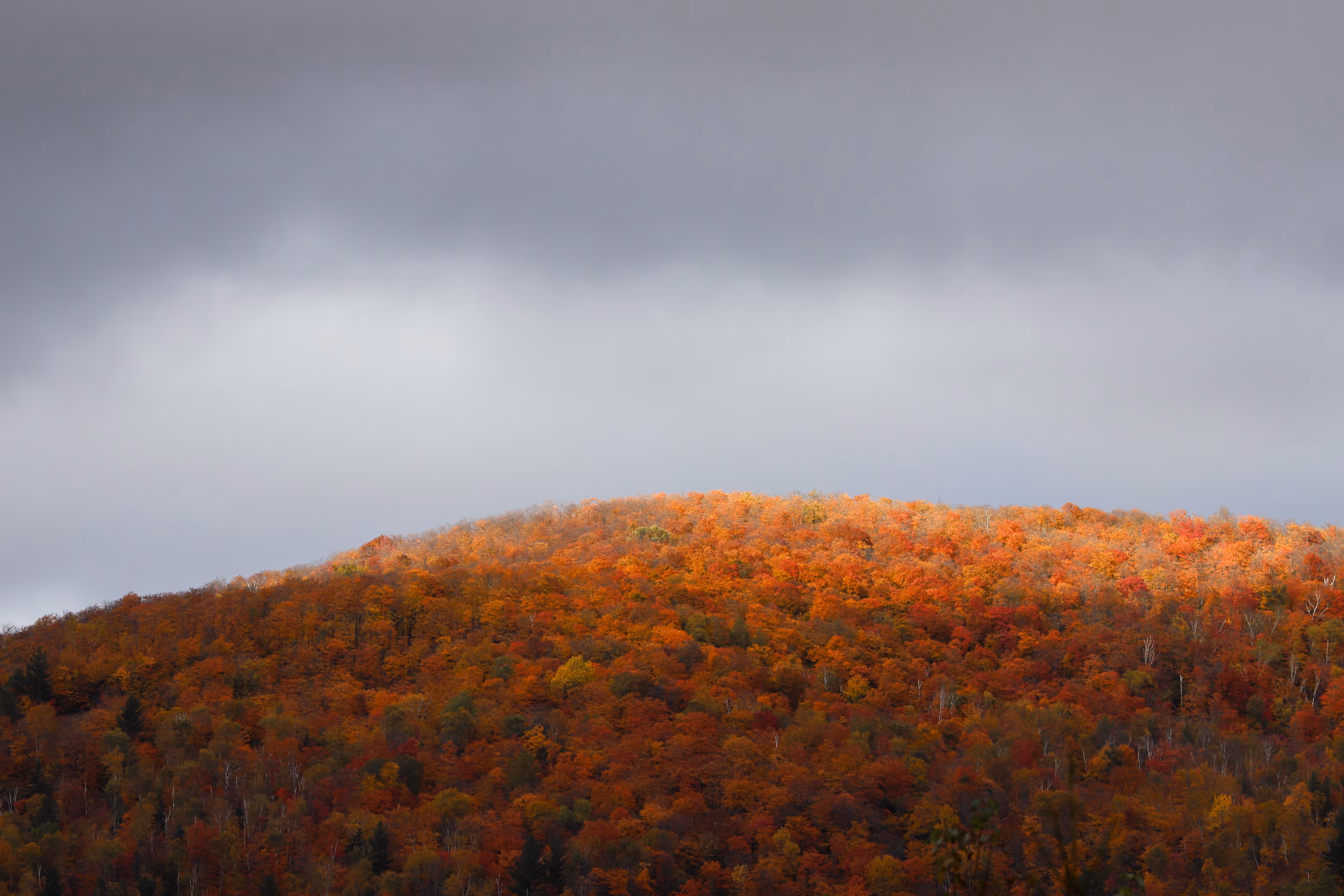 Fall Vibes #1