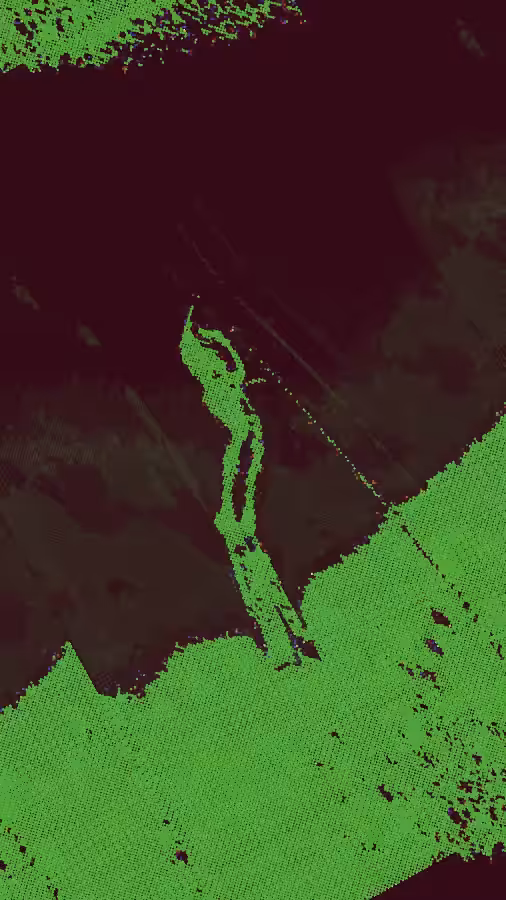 Diver