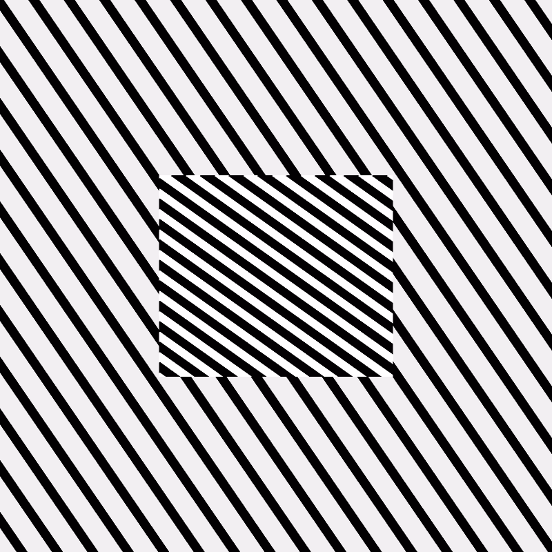 Chromatic dazzle #504