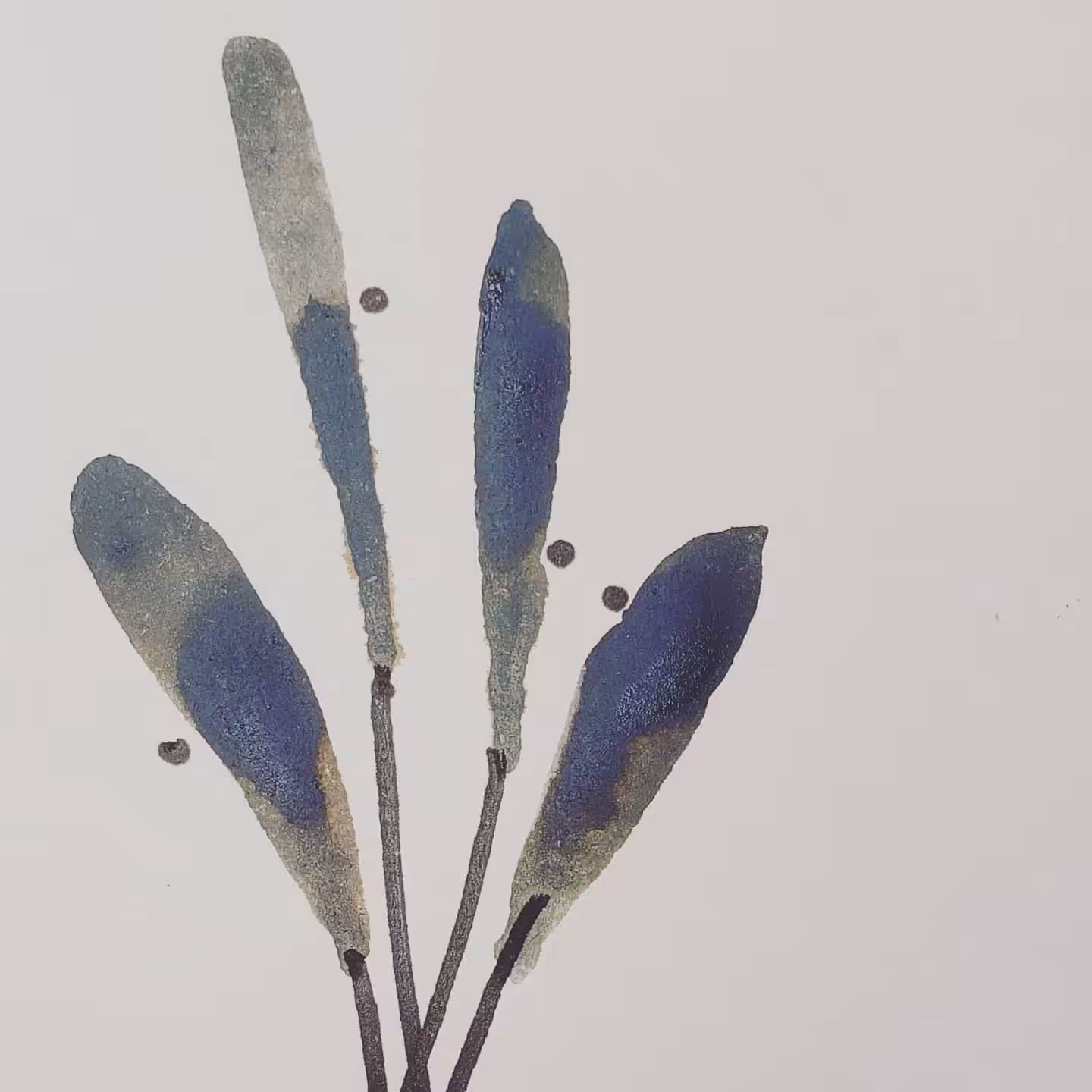 126