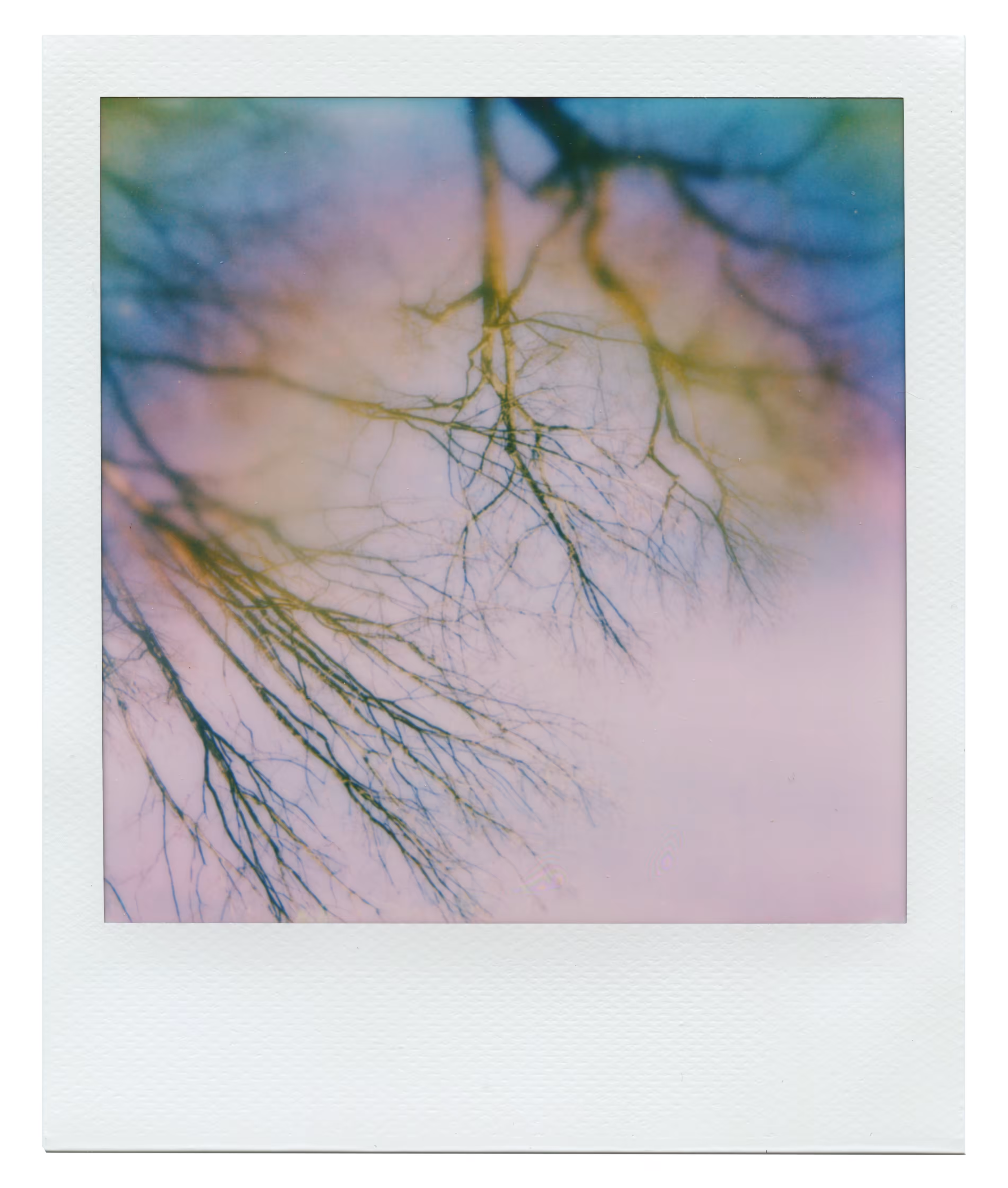 Manifestation
