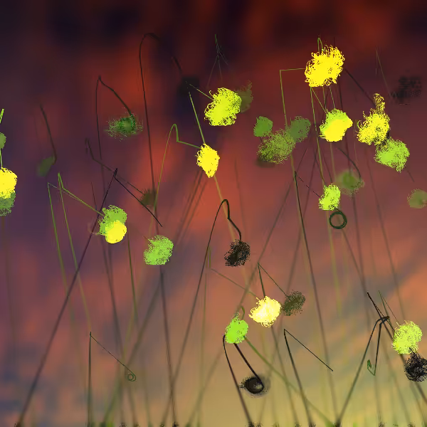Cottongrass #47