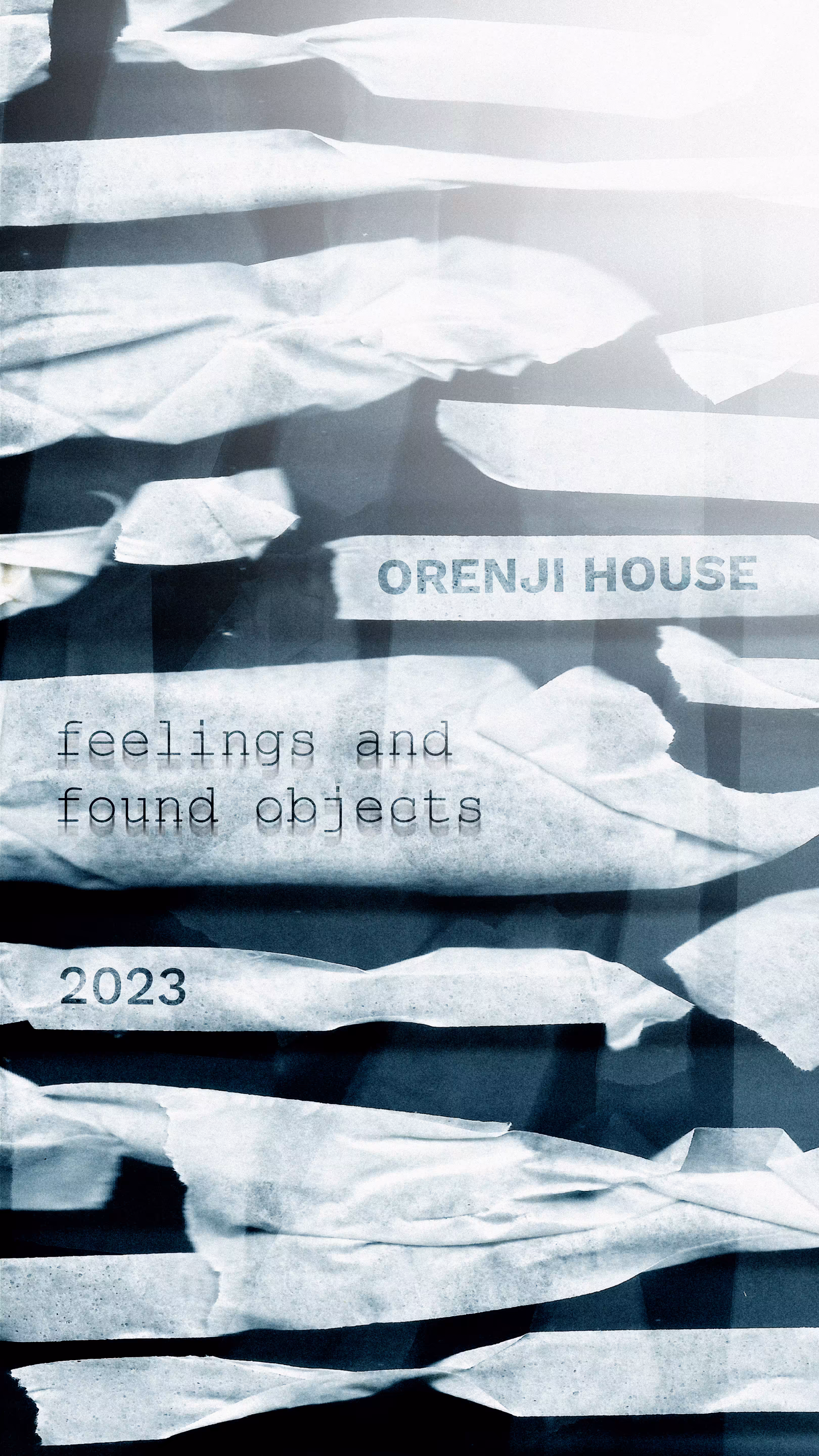 FEELINGS & FOUND OBJECTS: FEELINGS AND FOUND OBJECTS Collection Poster