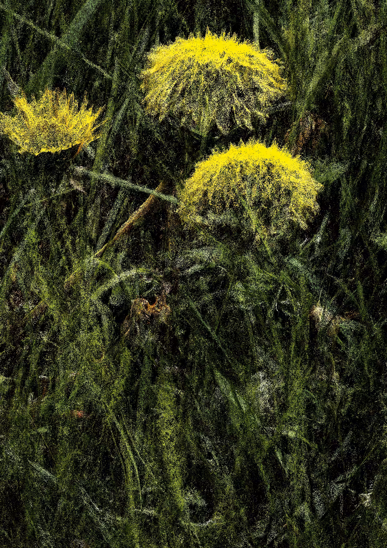 Overgrowth 0001