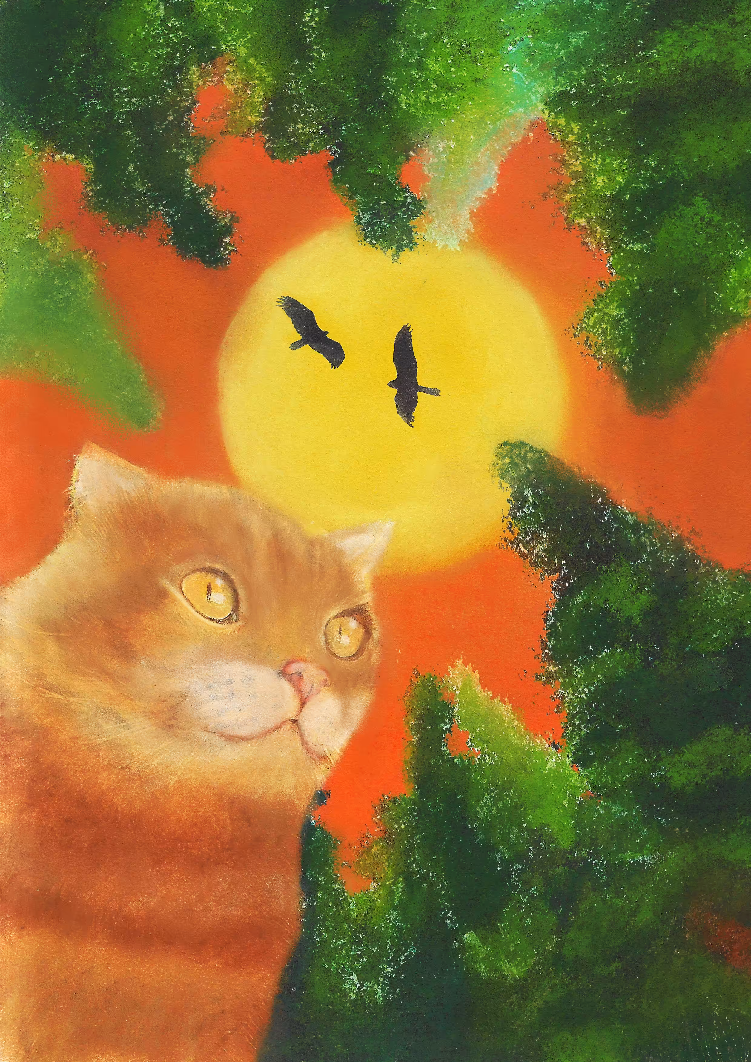 Orange sunset 