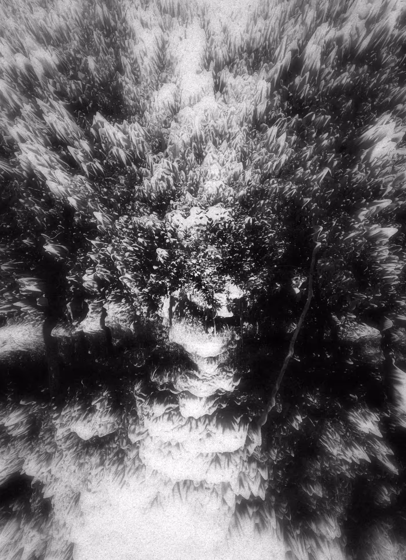 Ghost Forest