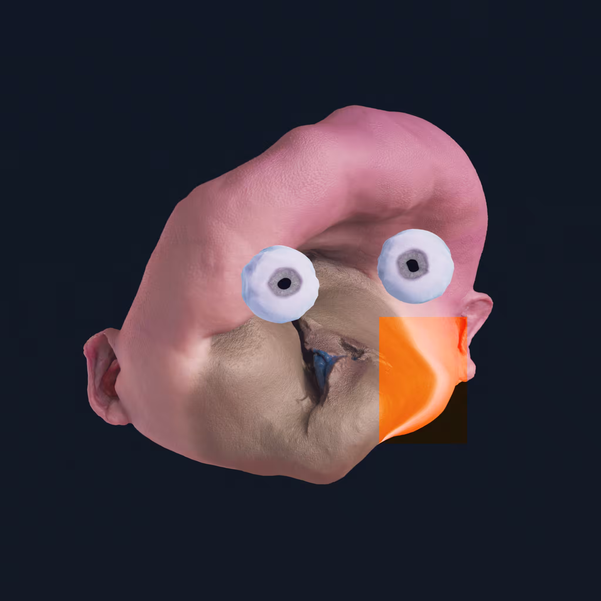 DEGEN #091