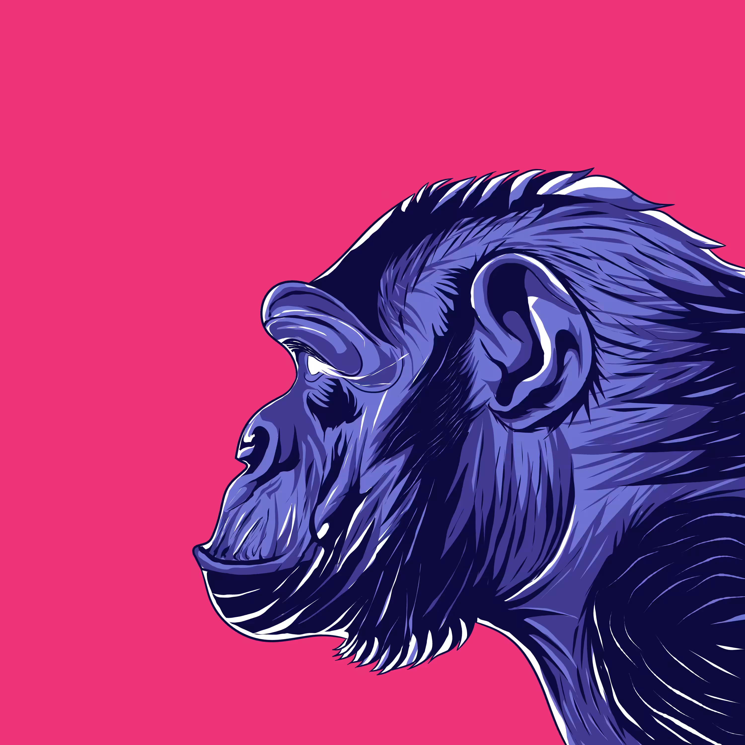 #18 Excited Ape