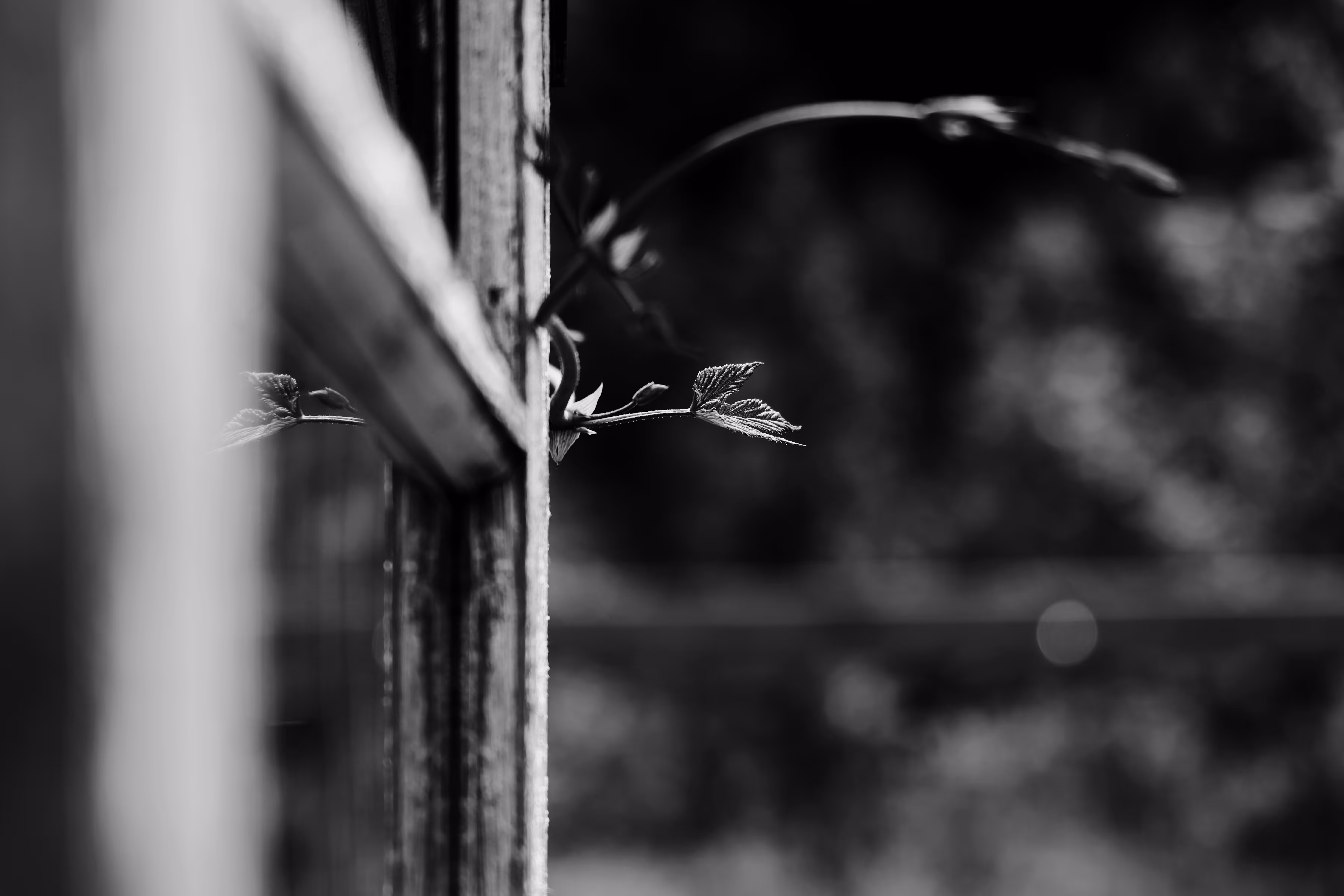 _trying to leave