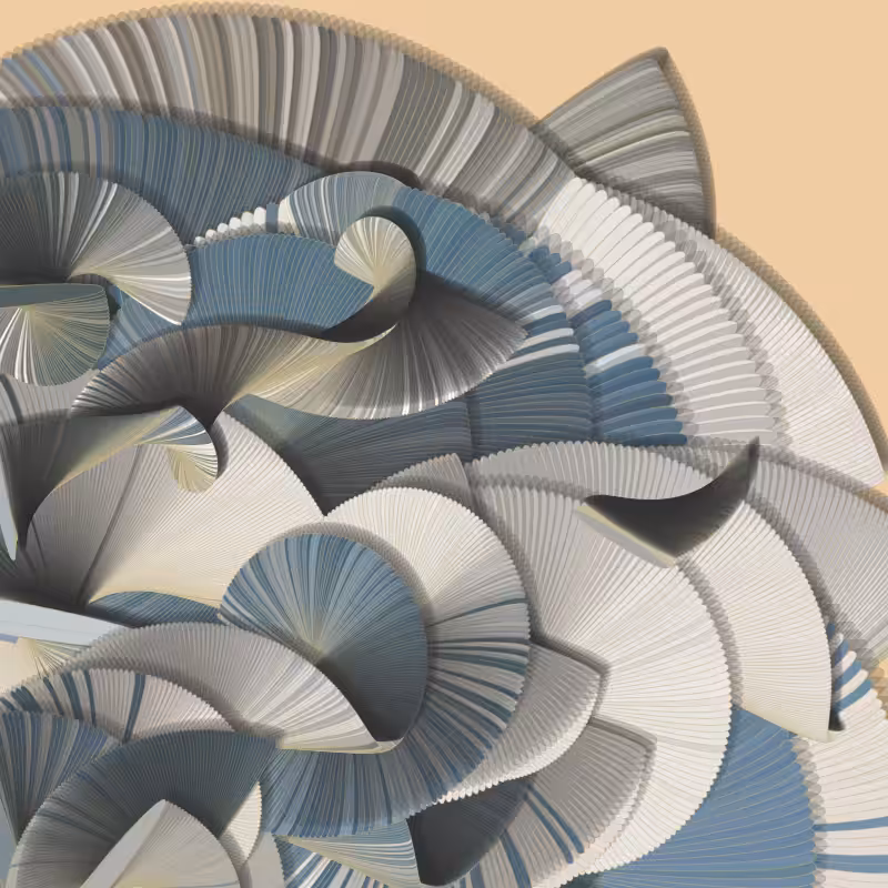 Seashells #137