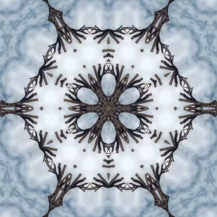 sky vitrals