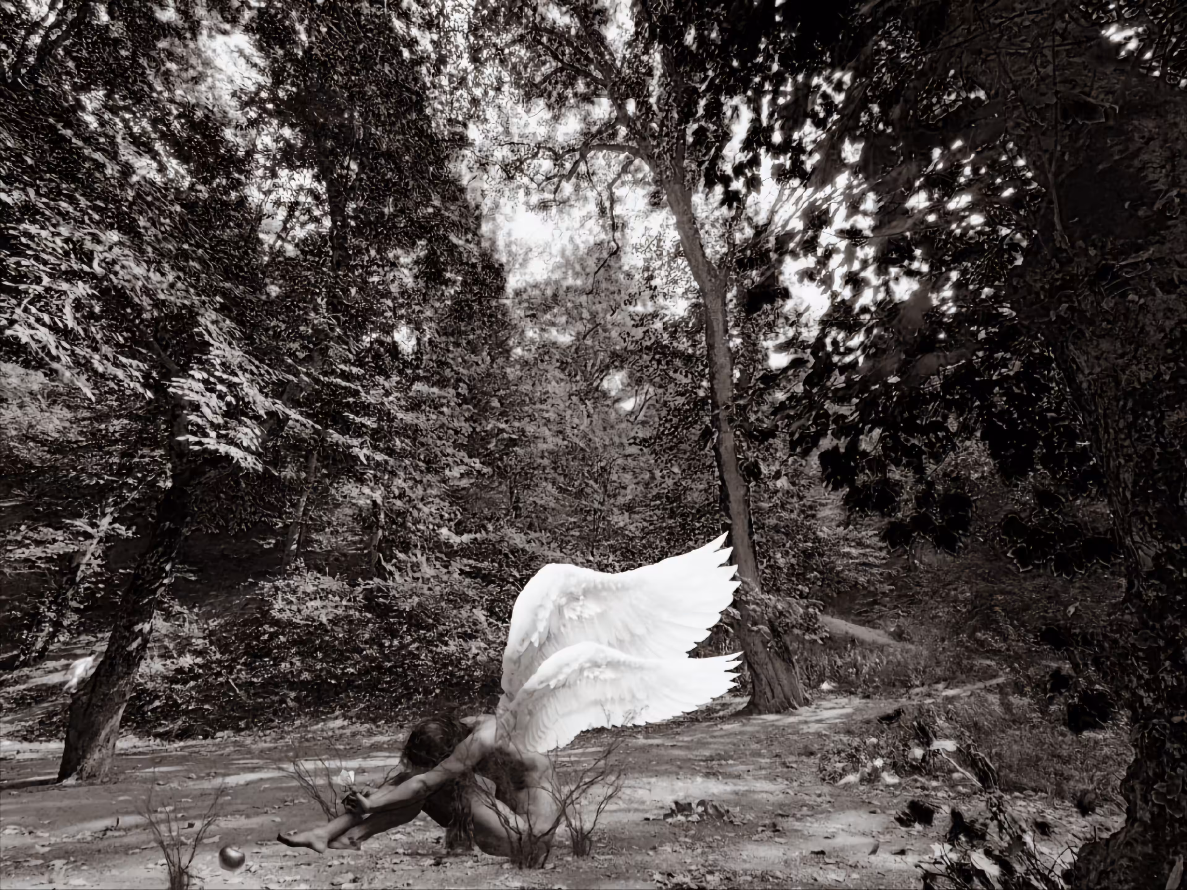 Memories of a camera: Welcome to the new chapter of life