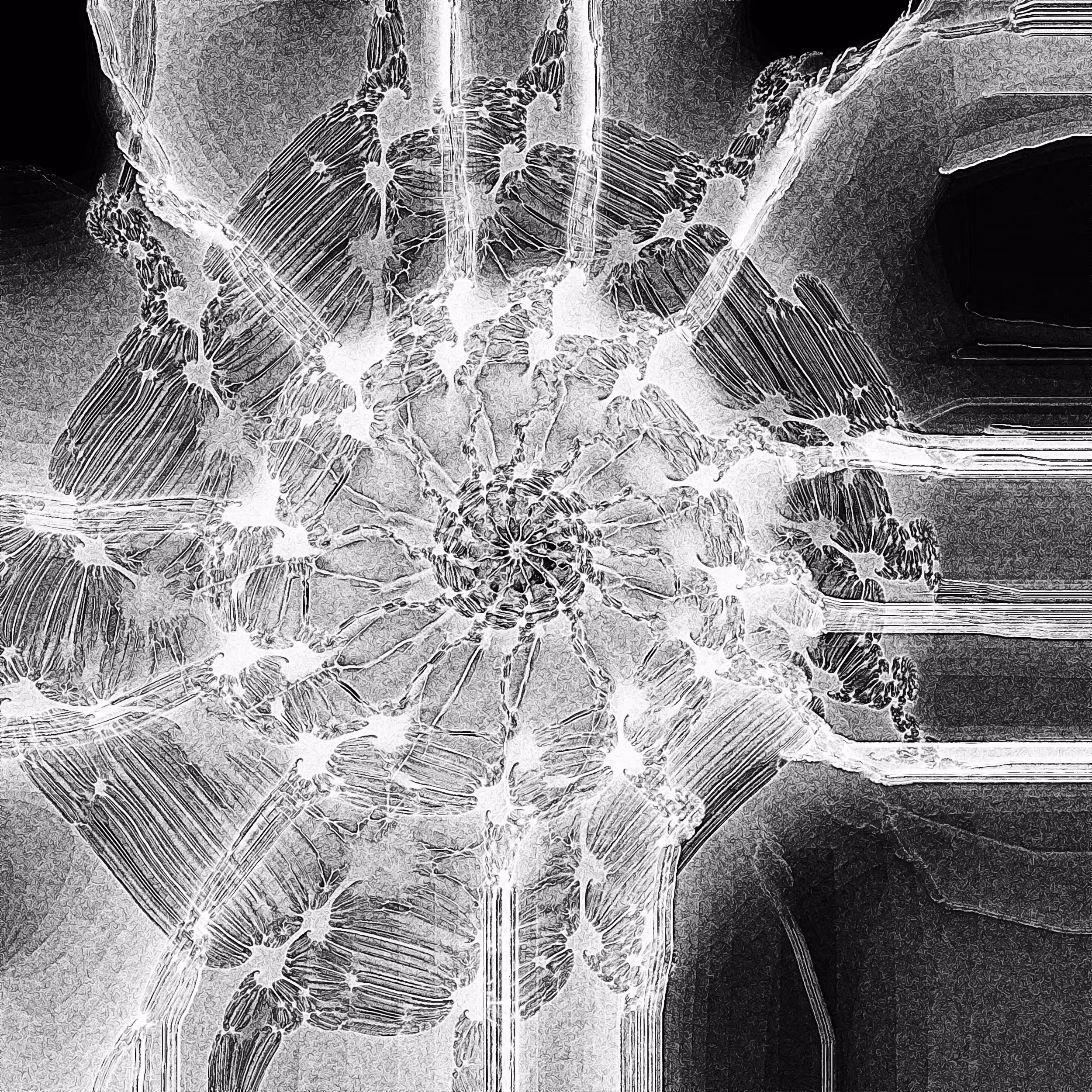 Parasite #0025