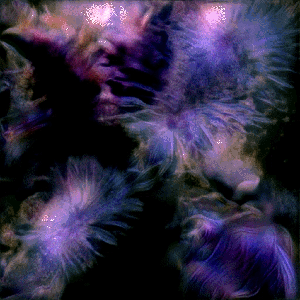 RXALITI #216 [⚡ g3n3sh@tter dr@wls 🪶 into fract0r$ 🌿]