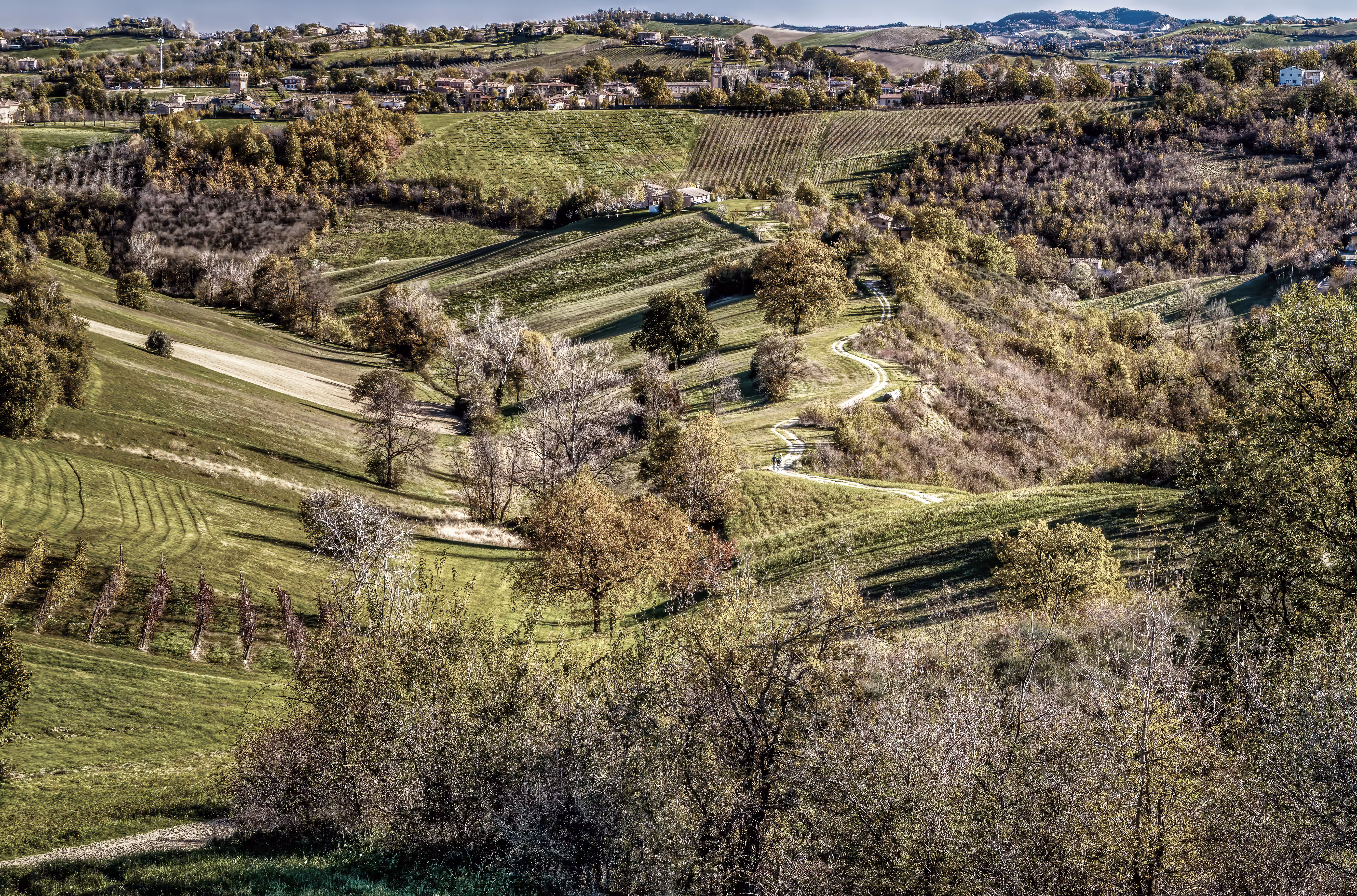 No One on the Path – Emilia’s Hills in Quiet Balance