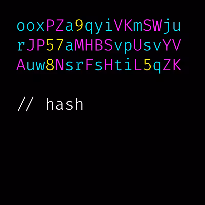 hash #81