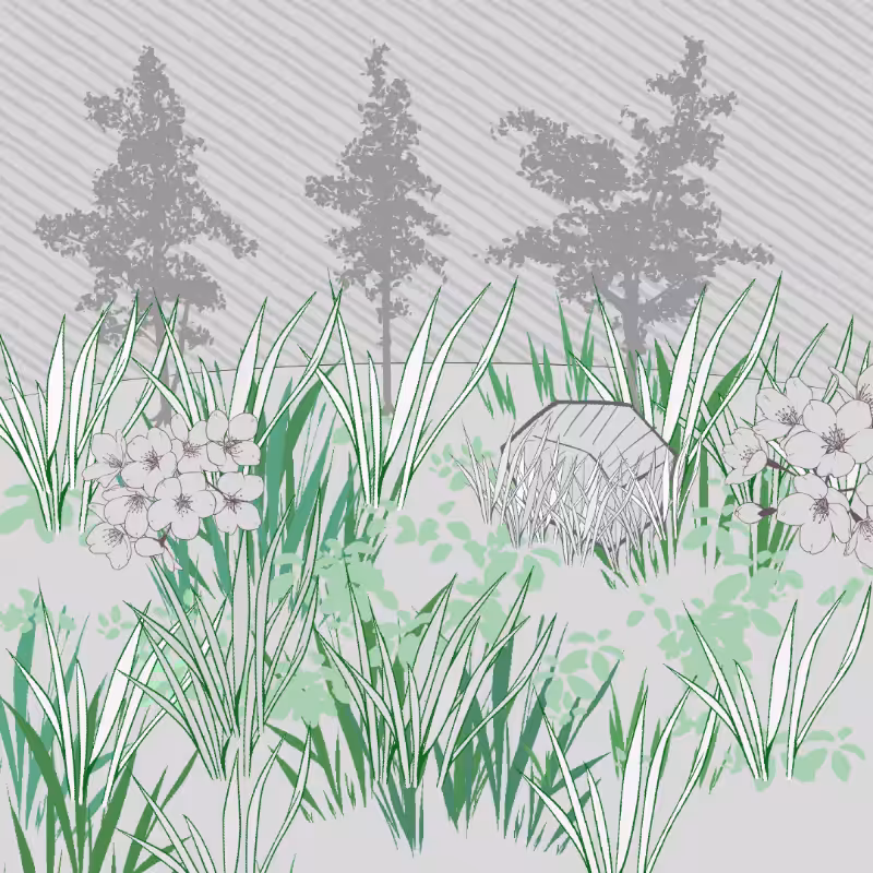 Wild Grass and Rubble #7