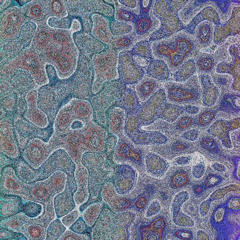 Bacteria Scanner #57