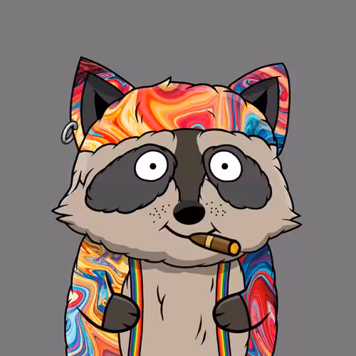 Charming Raccoons: Raccoon #1078