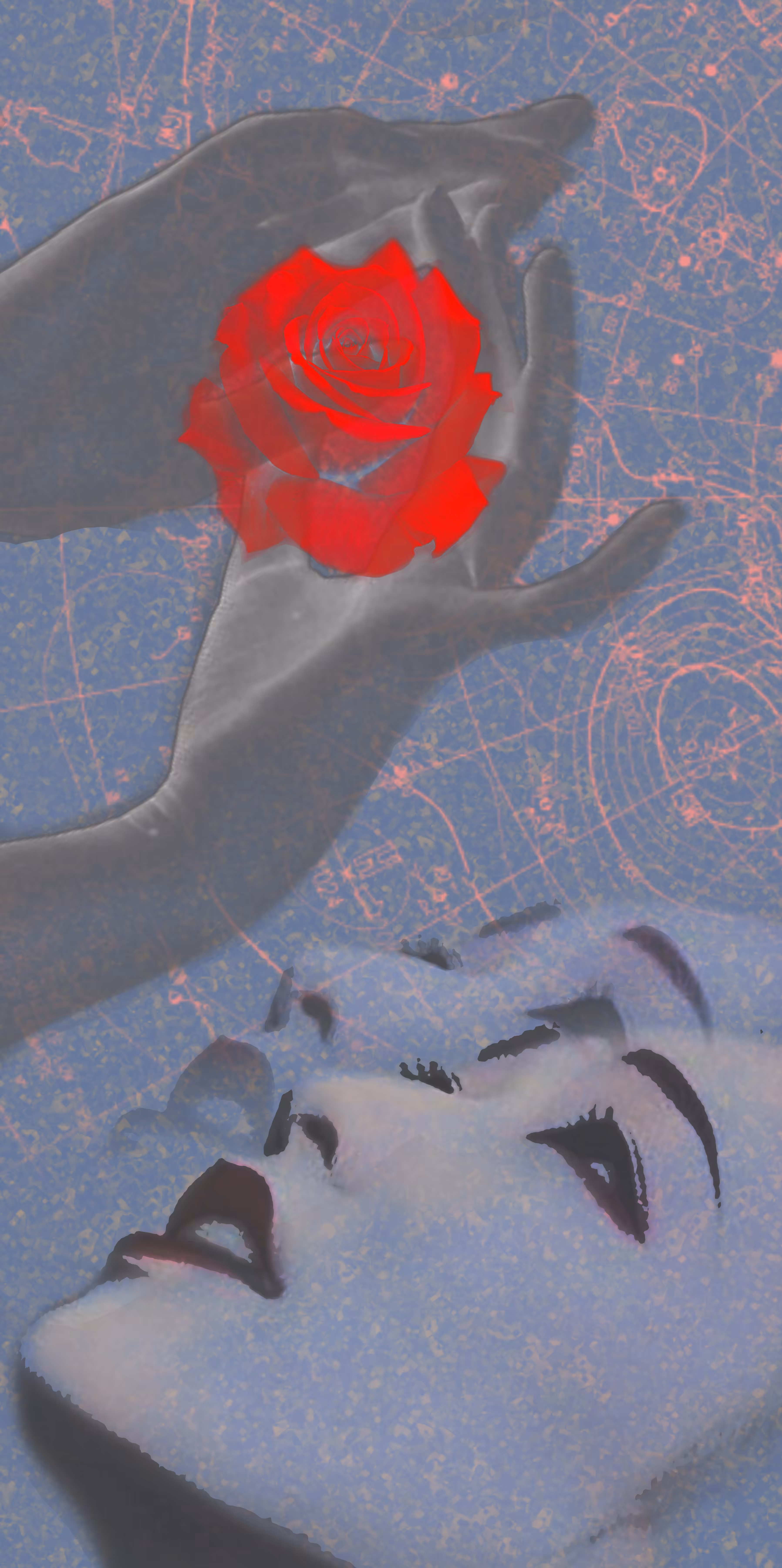 Life of the rose