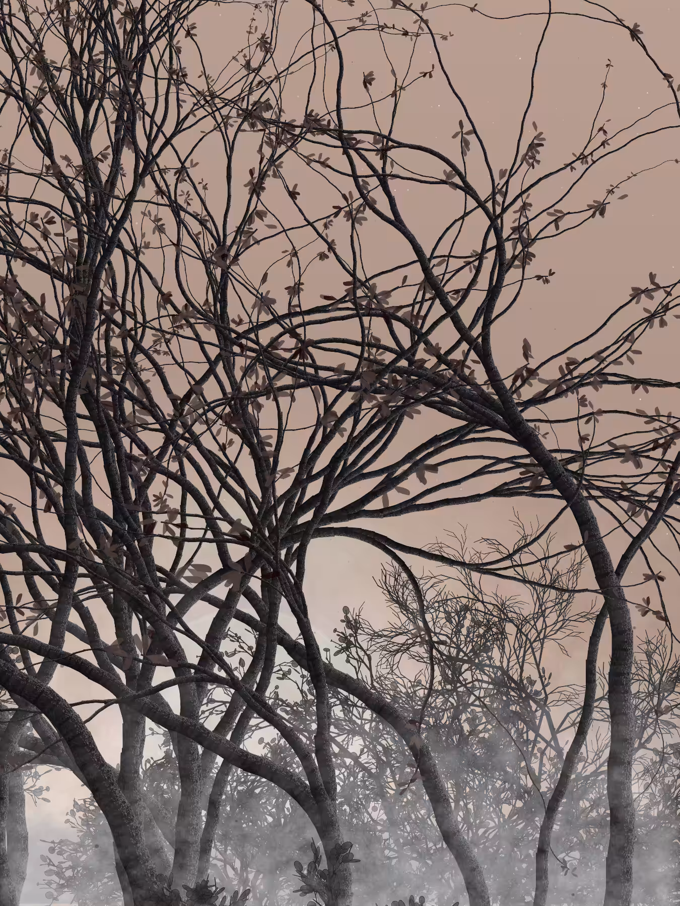 Morning Mist #246
