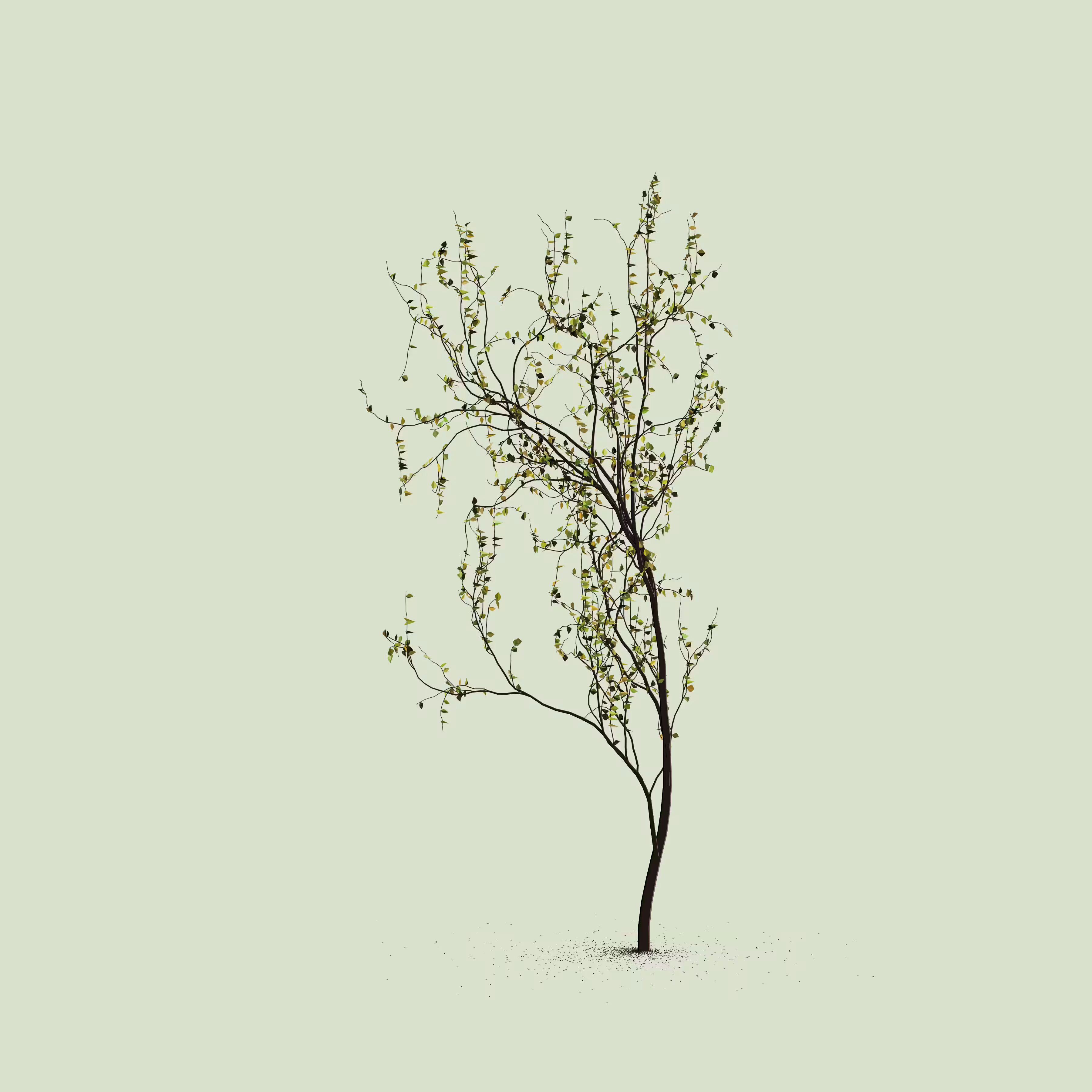 Little Trees #148