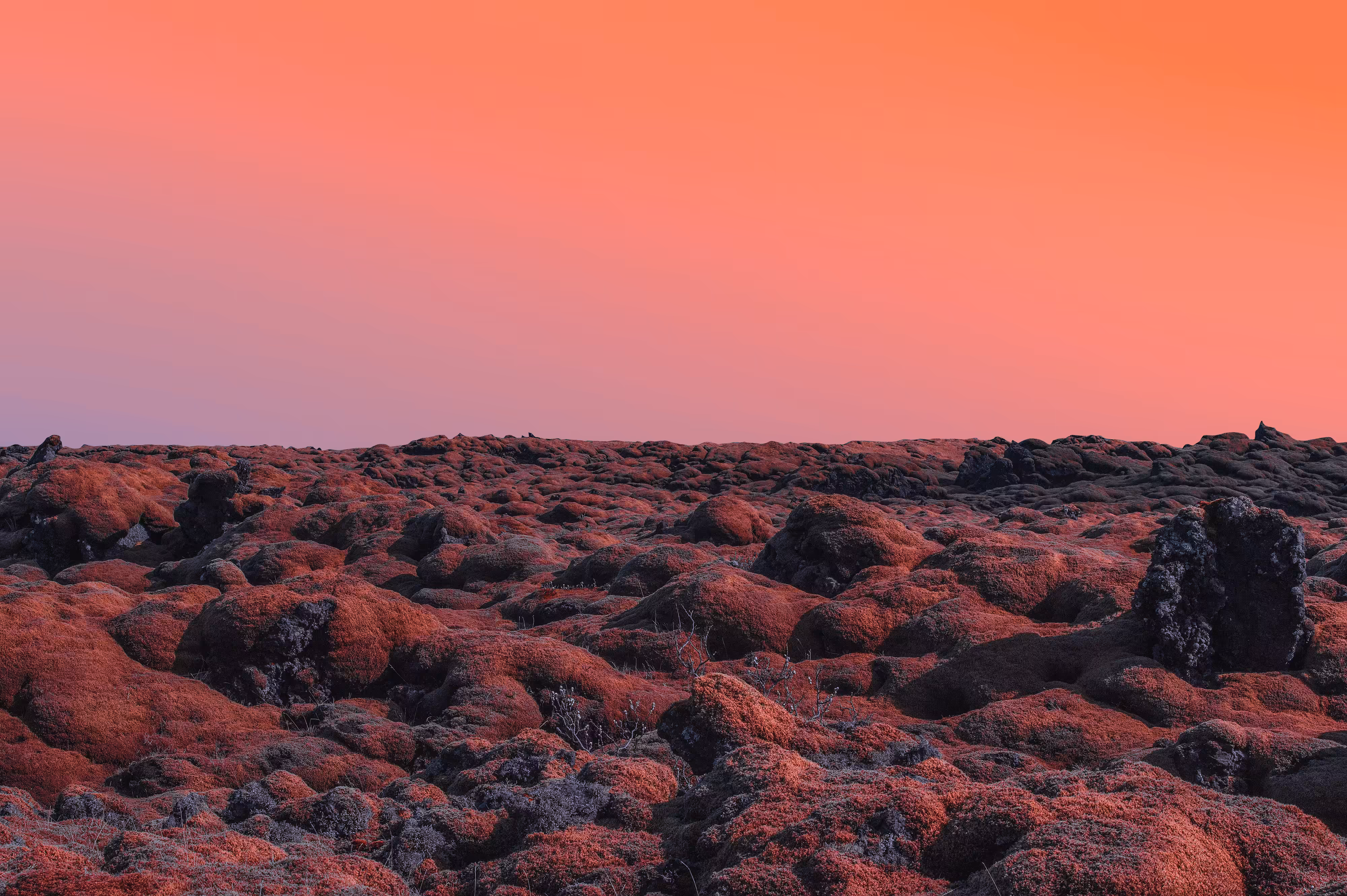 Another World From Iceland #5