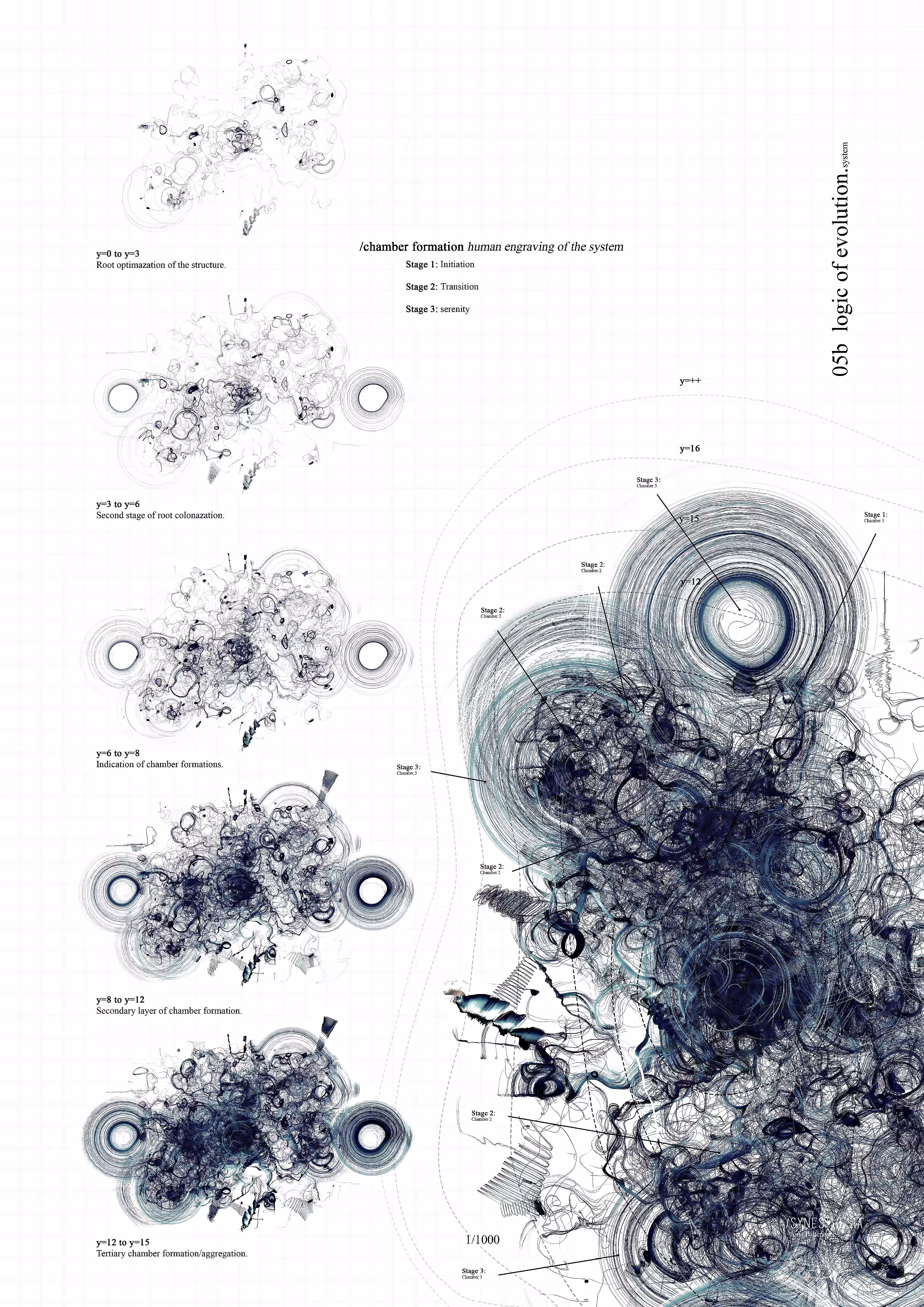 Synesthesia