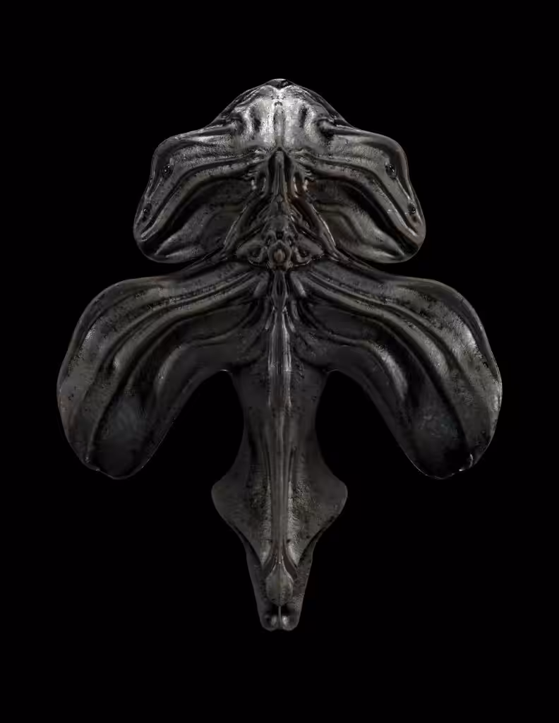 Ꞓ-3