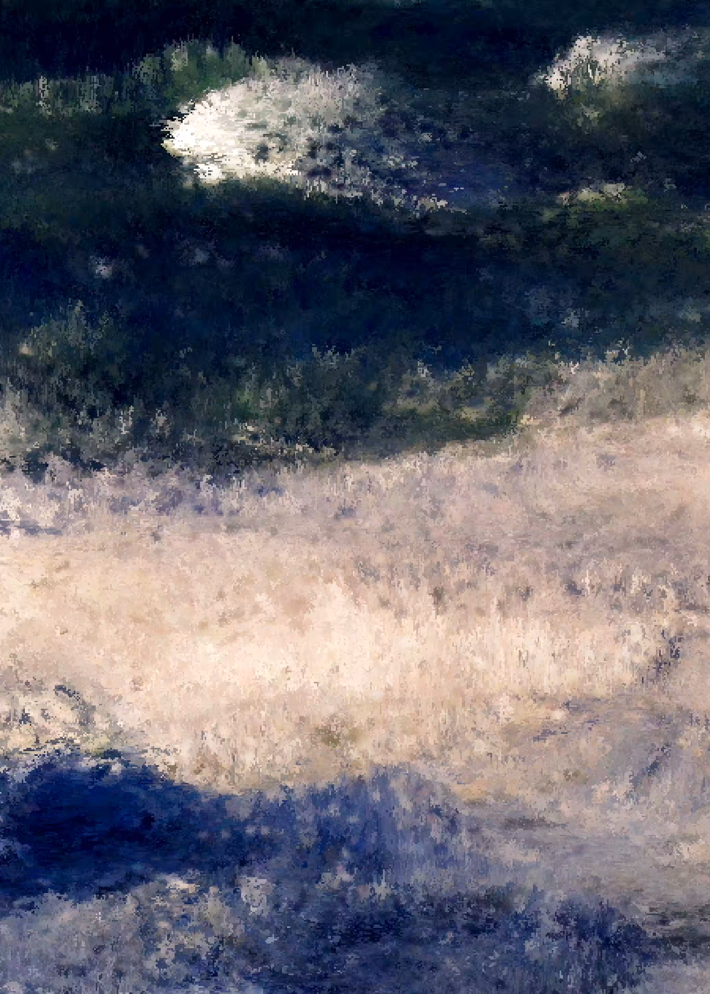 Storms XS : Storm #06__K01_01594-03