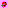 generative.tullip