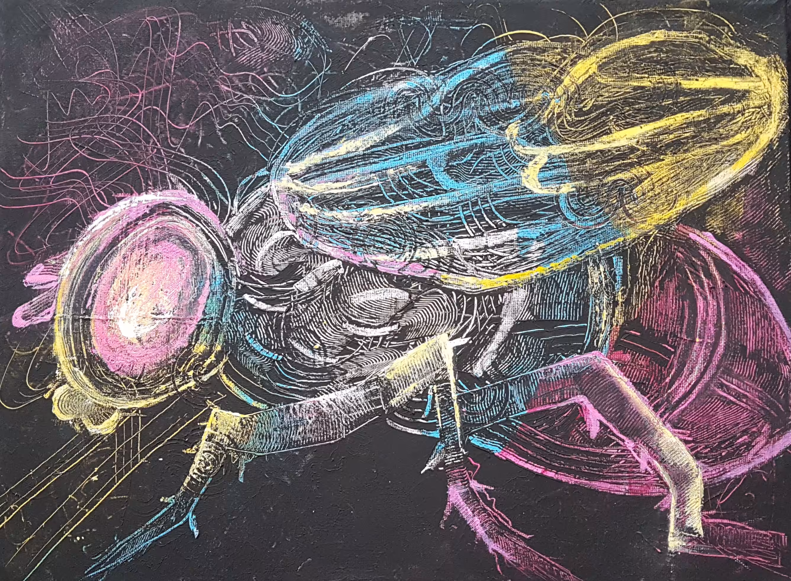 The Insect