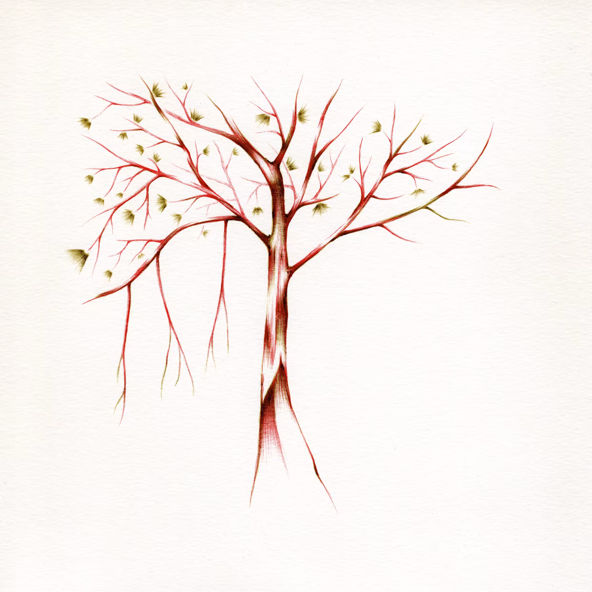 imaginary trees: imaginary tree #5