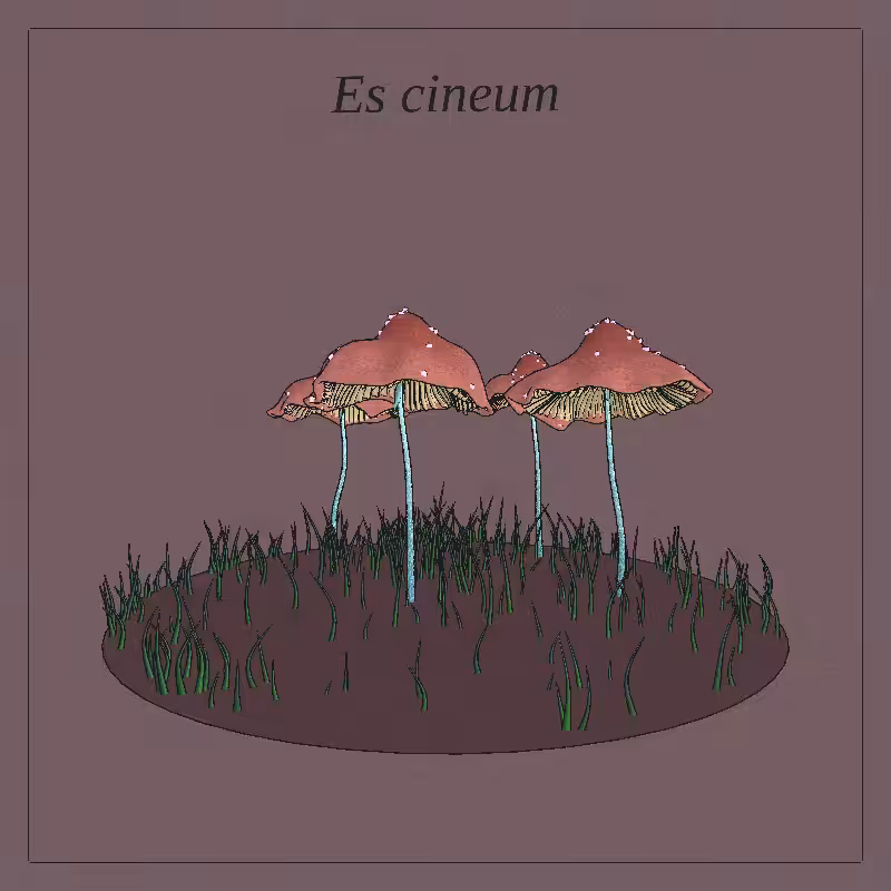 SHROOMS 3D #23