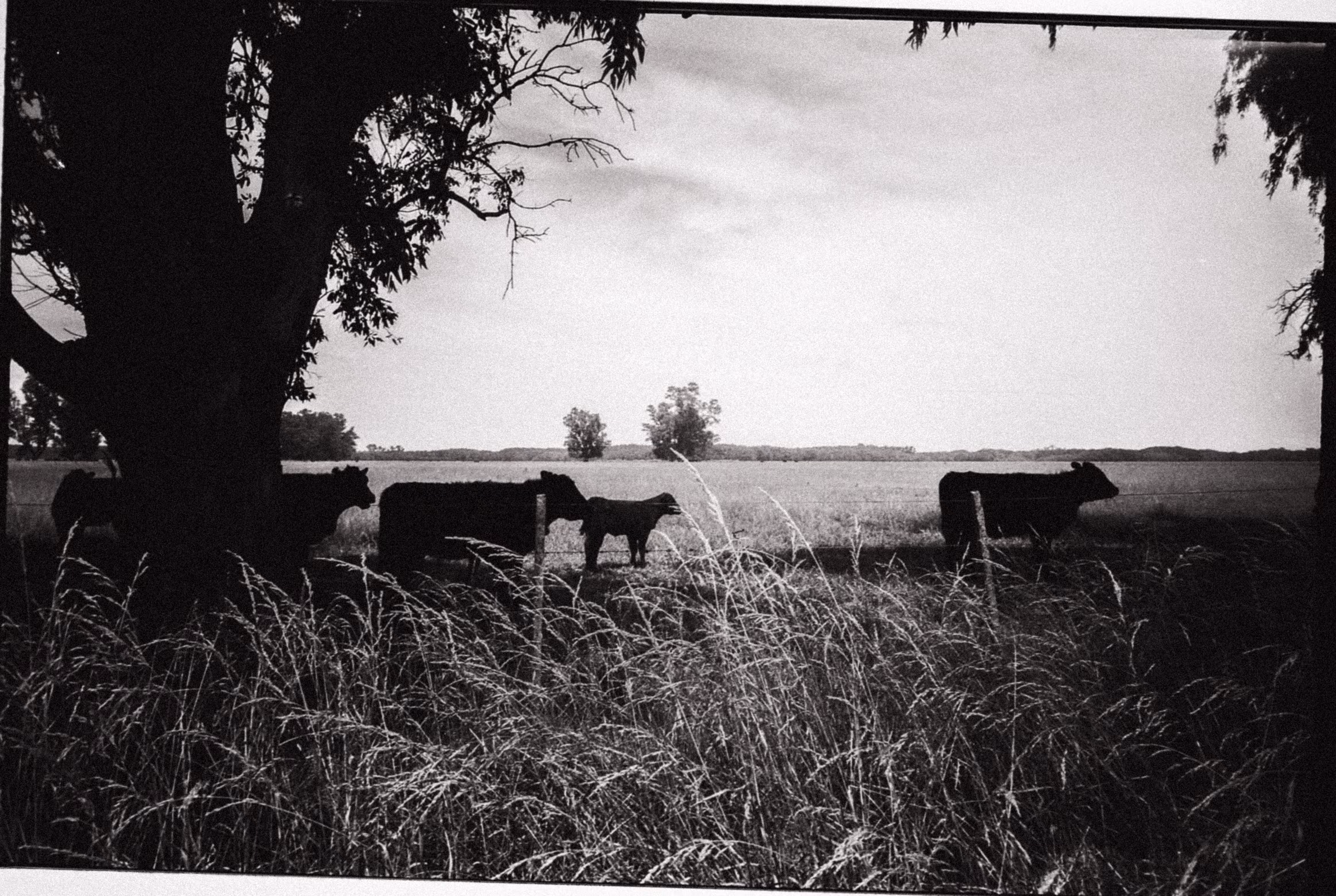"To the right" - analog series # 02