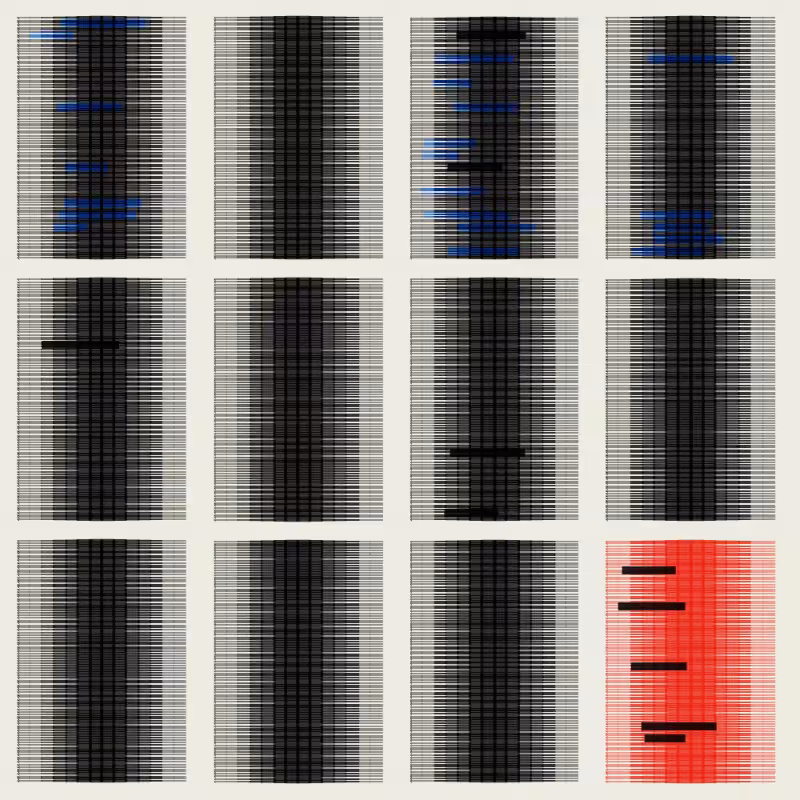 Pages From A Redacted Document #7