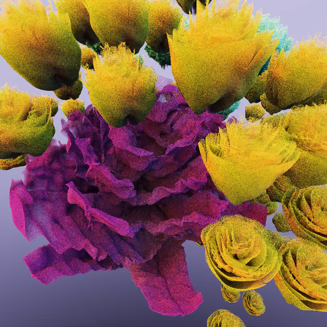 rosarium #44