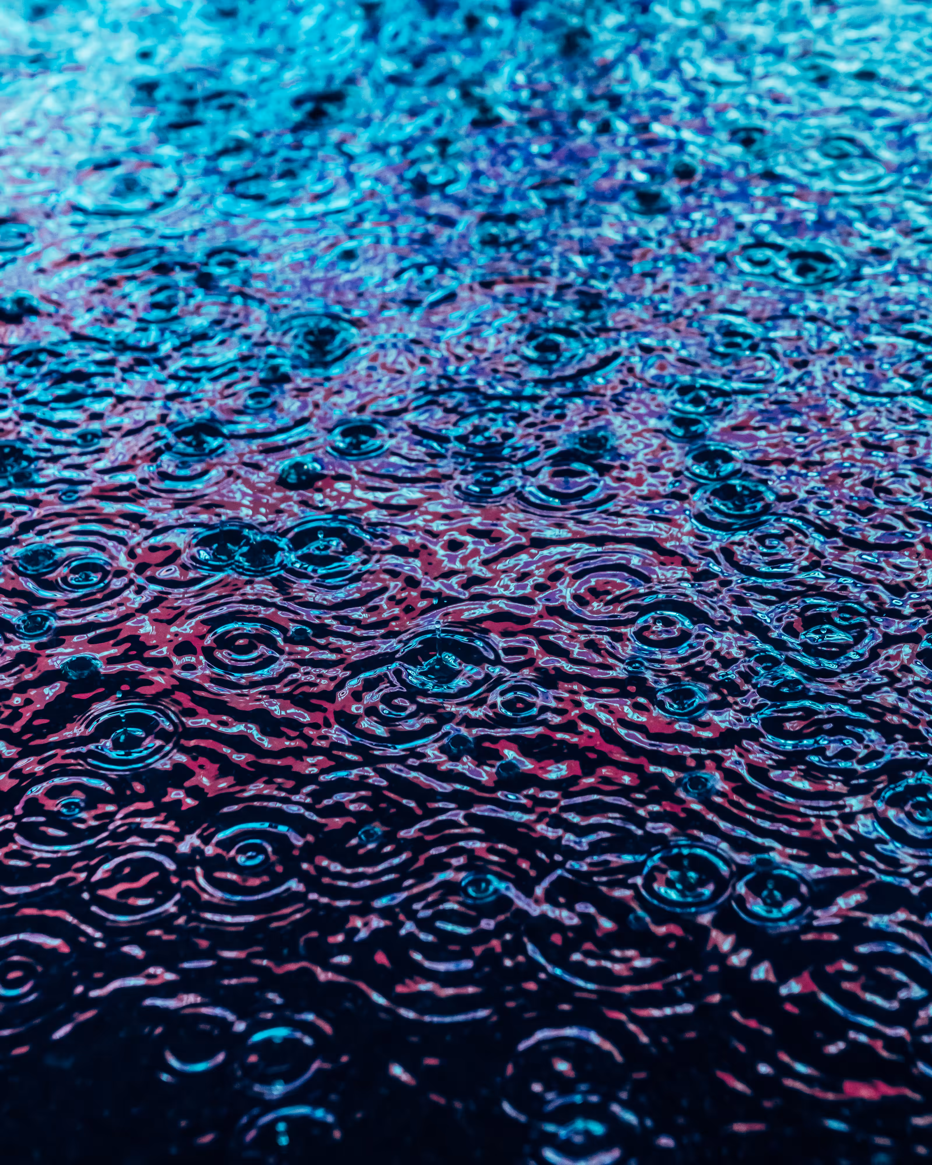 DRIP #195