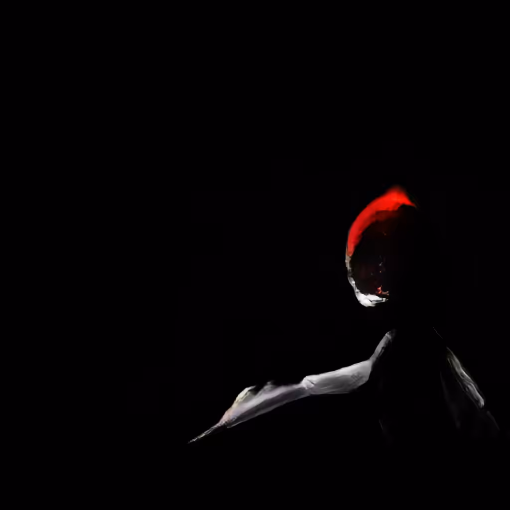 Emerge