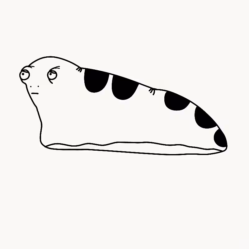 Suspicious Slug